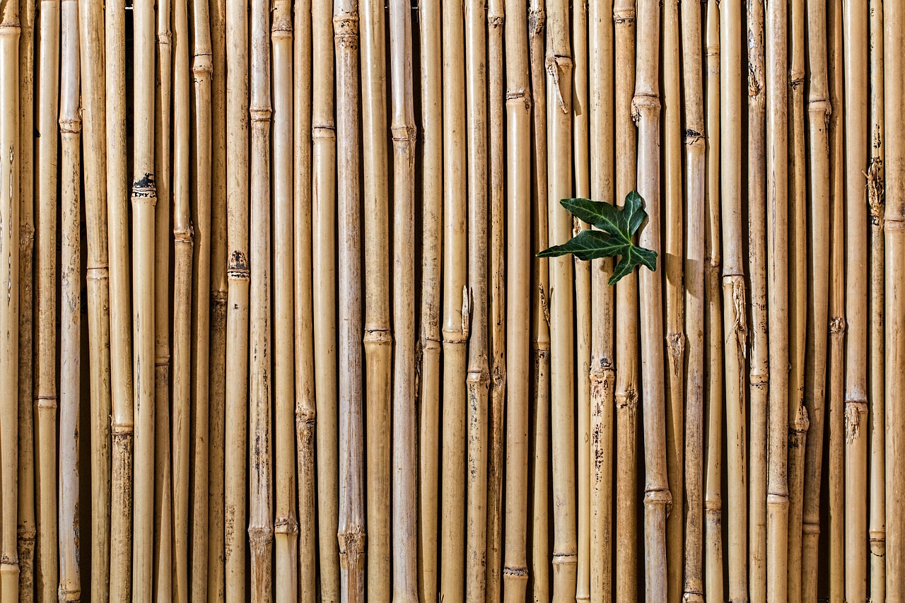 hd wallpaper, bamboo, barrier